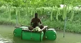 कौन हैं हिरोद पटेल? मन की बात में PM मोदी ने की सराहना, खेती में नवाचार से सालाना 12 लाख तक की कमाई