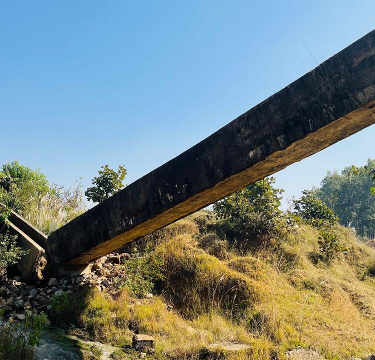 नहर मेड की बदहाली को लेकर किसान चिंतित विभाग को सुध लेने की फुर्सत नहीं 