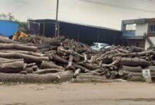 सरकारी जमीन पर खुलेआम कब्जा, प्रशासन की कार्यशैली पर सवाल 