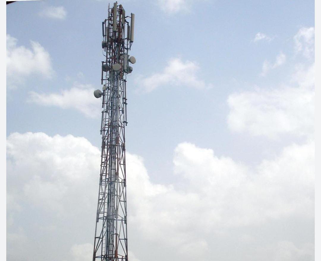 खबर का असर : मोबाईल टॉवर वाली मामले पर तहसीलदार लवन ने जांच के लिए पटवारी को दिये निर्देश