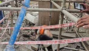 बलौदाबाजार के श्री सीमेंट फैक्ट्री में हादसा,एक की मौत 