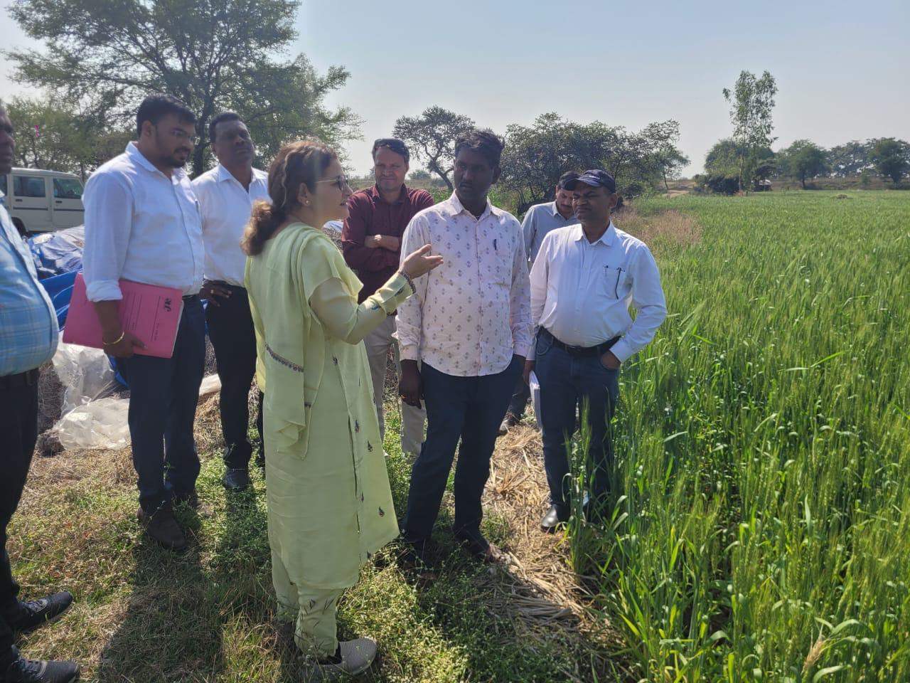 योजनाओ की क्रियान्वयन संबधी जानकारी लेने फील्ड में पहुंचे कृषि संचालक