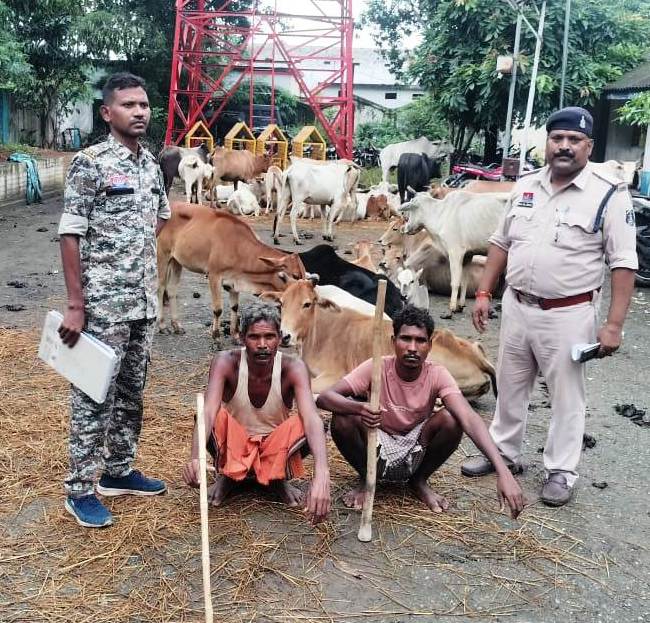  घरघोड़ा पुलिस ने मवेशी तस्करी के दो आरोपियों को भेजा रिमांड पर