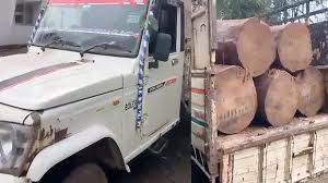 तस्करों पर वन विभाग की कार्रवाई,अवैध लकड़ी तस्करी करते हुए पिकअप को पकड़ा