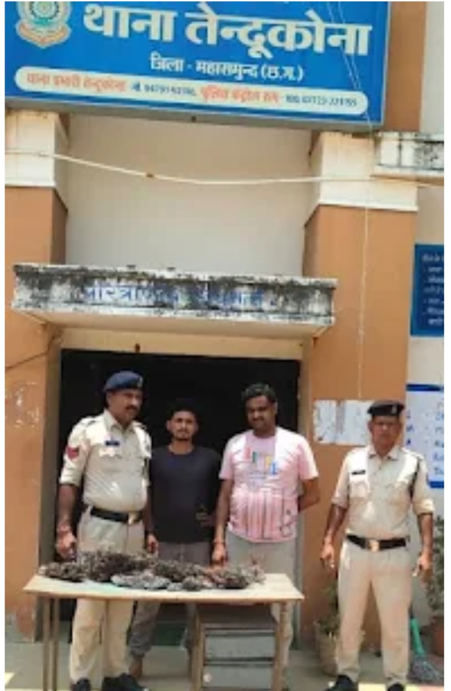 सोलर प्लांट में सेंधमारी करने वाला शातिर चोर गिरफ्तार, भेजा गया जेल