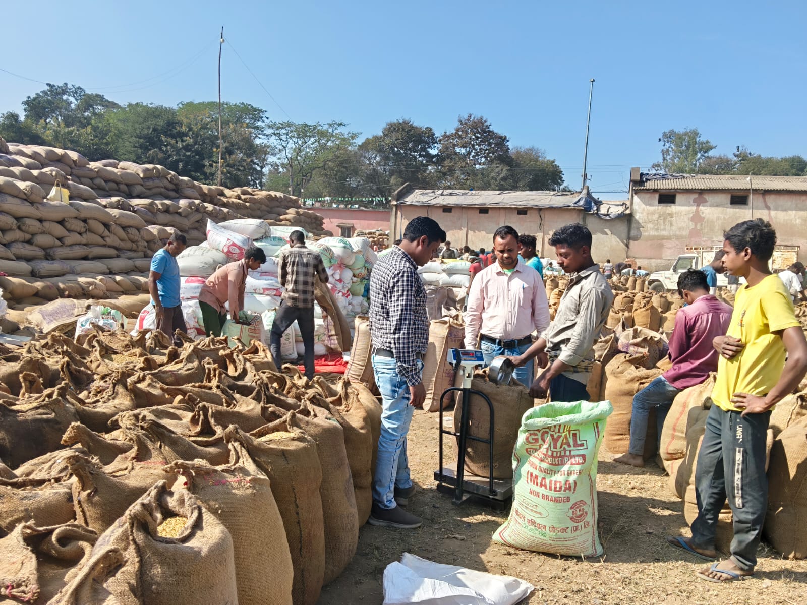 रायगढ़ में अब तक 18 लाख 33 हजार क्विंटल से अधिक धान की खरीदी