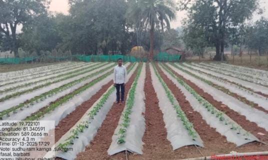  परंपरागत से आधुनिक खेती की ओर: लालसुहनार के साधूराम की कहानी बनी सैकड़ों किसानों के लिए मिसाल