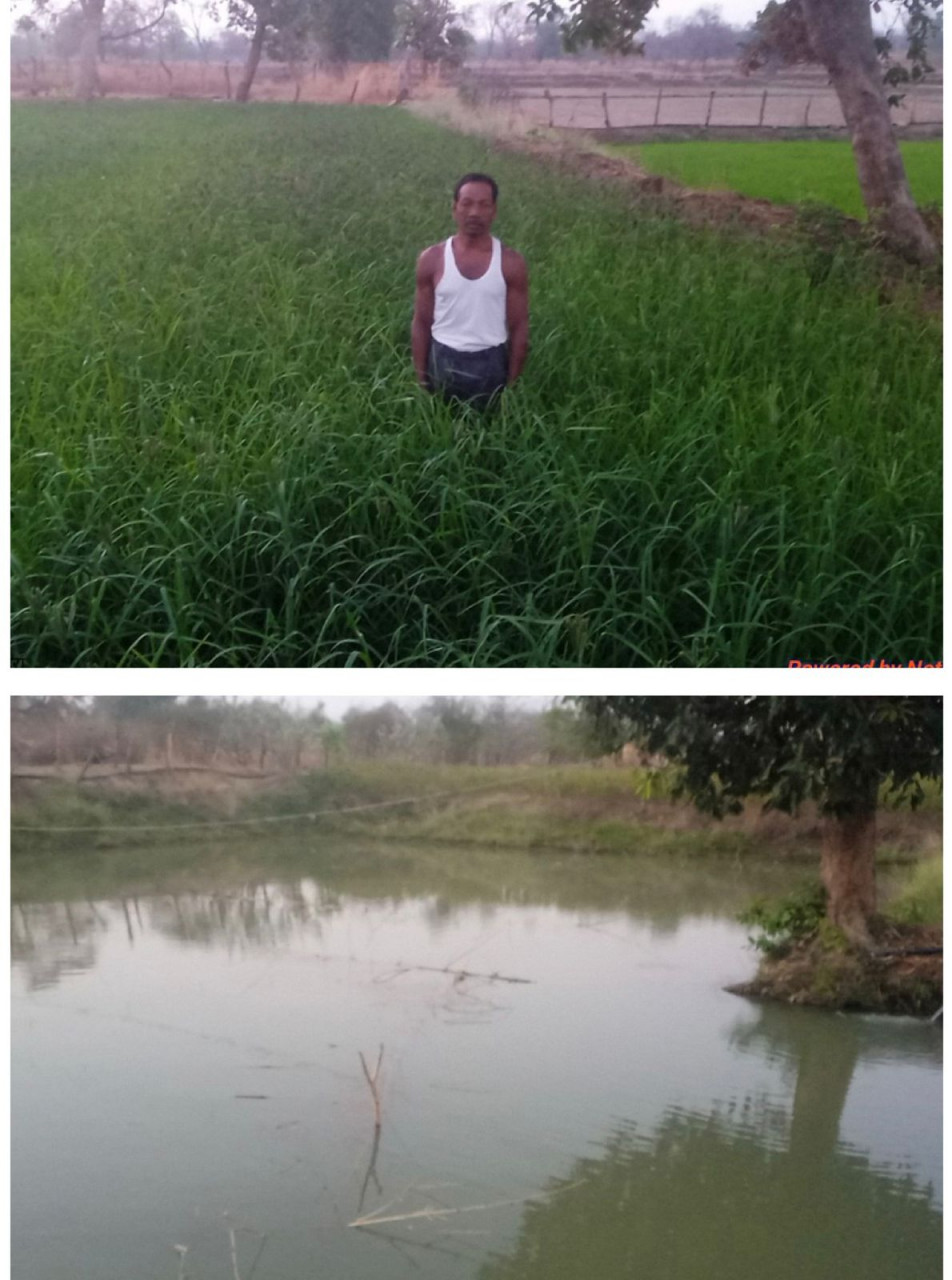 बहुआयामी खेती से बढ़ी आय, सगनू बने गांव के रोल मॉडल