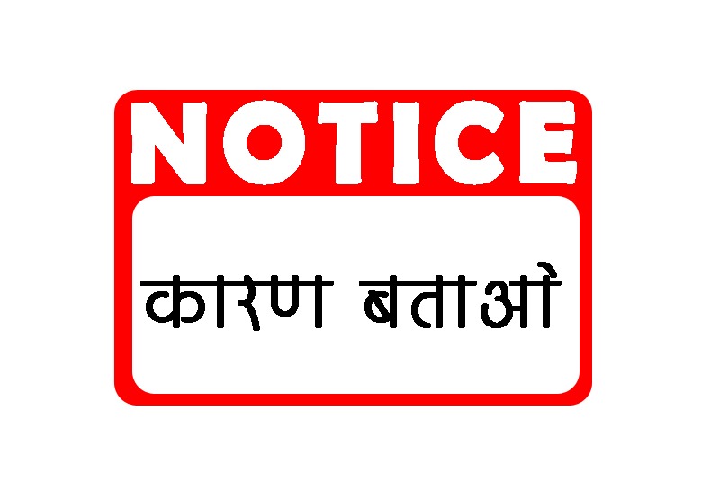 स्कूलों में नदारद मिले प्राचार्य और शिक्षक, डीईओ ने भेजा कारण बताओं नोटिस 