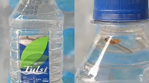 फूड सेफ्टी टीम की छापेमारी, सील बंद पानी की बोतल से निकला कीड़ा