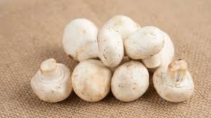 सेहत के लिए काफी फायदेमंद है मिल्की मशरूम,पढ़िए इसे खाने के 8 कमाल के फायदे