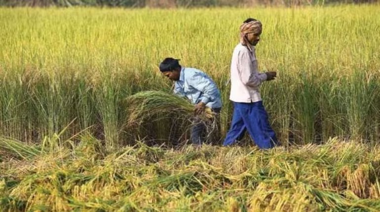 किसानों की मांग हुई पूरी, धान के परिवहन की समस्या से मिली निजात