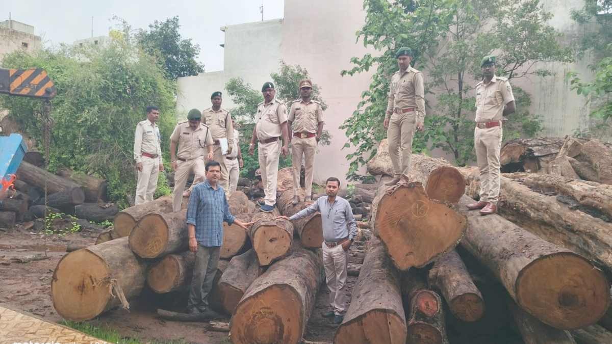  कोरबा: 8-10 लाख की साल लकड़ी की अवैध हेराफेरी का खुलासा, वन विभाग ने आरा मिल सील कर आरोपी को किया गिरफ्तार