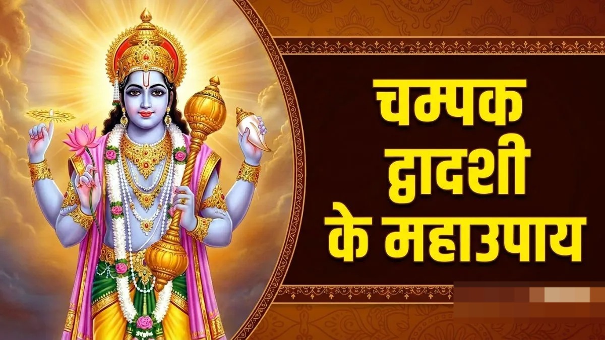 चम्पक द्वादशी 2026: आज करें ये अचूक उपाय, भगवान विष्णु की कृपा से पूरी होंगी मनोकामनाएं