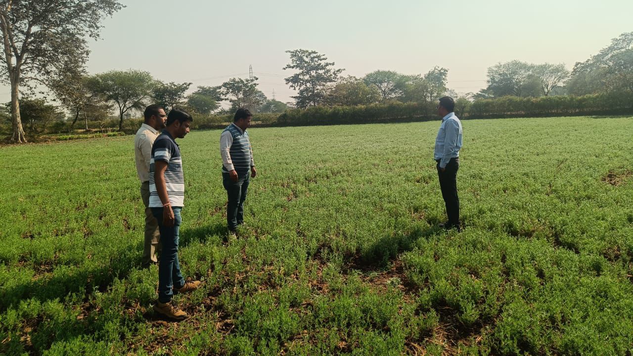  जल संरक्षण से आय संवर्धन तक: धमतरी की रबी फसलों की सफलता कथा