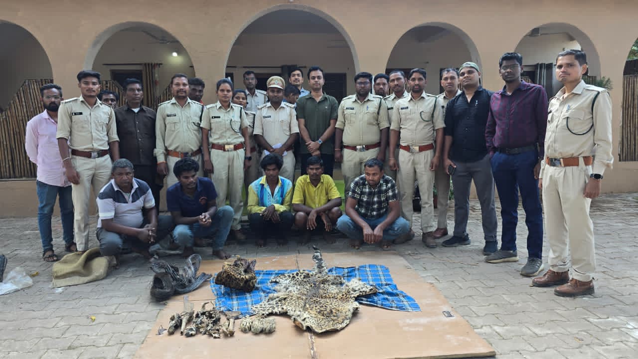 कवर्धा वनमंडल द्वारा तेंदुआ खाल जप्त, 5 आरोपी गिरफ्तार
