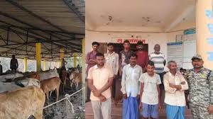 बीजापुर पुलिस ने मुखबिर की सूचना पर की बड़ी कार्रवाई, 9 पशु तस्कर गिरफ्तार