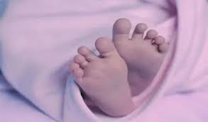 अपोलो अस्पताल बिलासपुर से एक बार फिर लापरवाही का गंभीर मामला सामने आया 