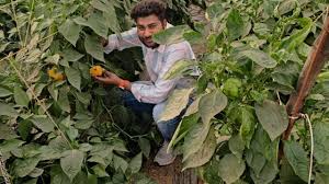 विज्ञान और तकनीकी ज्ञान का उपयोग कर इस किसान की बदल गई किस्मत, सालाना कमा रहे लाखों 