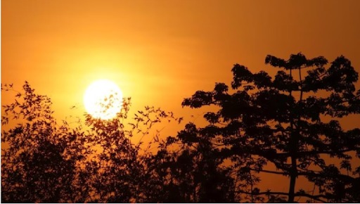 छत्‍तीसगढ़ में बदला मौसम का मिजाज,दोपहर में धूप खिलने से ठंड से मिली राहत