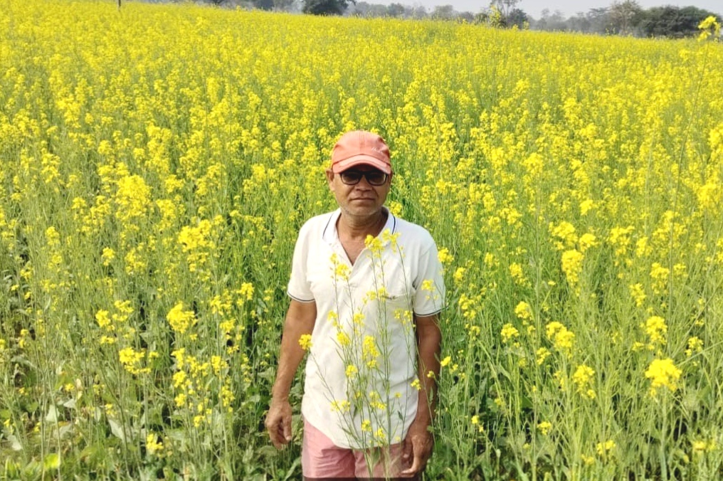 धान से नहीं हो रही थी कमाई, सरसों ने दिलाई समृद्धि की नई राह