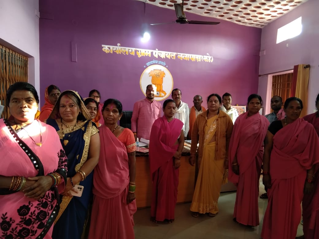 ग्राम कोसमी में मनाया गया मितानिन दिवस