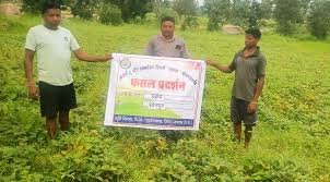 उड़द की खेती से सोनपुर के किसान घनश्याम की आमदनी में इजाफा