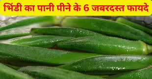 सुबह खाली पेट पिएं भिंडी का पानी, ब्लड शुगर, कोलेस्ट्रॉल लेवल से लेकर वजन घटाने में रामबाण