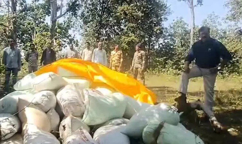 धान खरीदी शुरू होने से पहले कोचियों की हलचल तेज, SDM ने अवैध परिवहन पर फेरा पानी