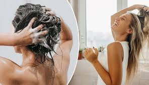 रूखे-बेजान बाल बनेंगे रेशमी, टूटना होगा कम,शैंपू से पहले बालों में लगाएं ये प्राकृतिक जेल