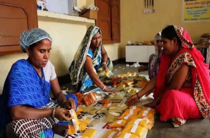 महिलाओं के लिए व्यवसाय की नई संभावनाएं,घर से शुरू कर सकती हैं ये सफल व्यवसाय