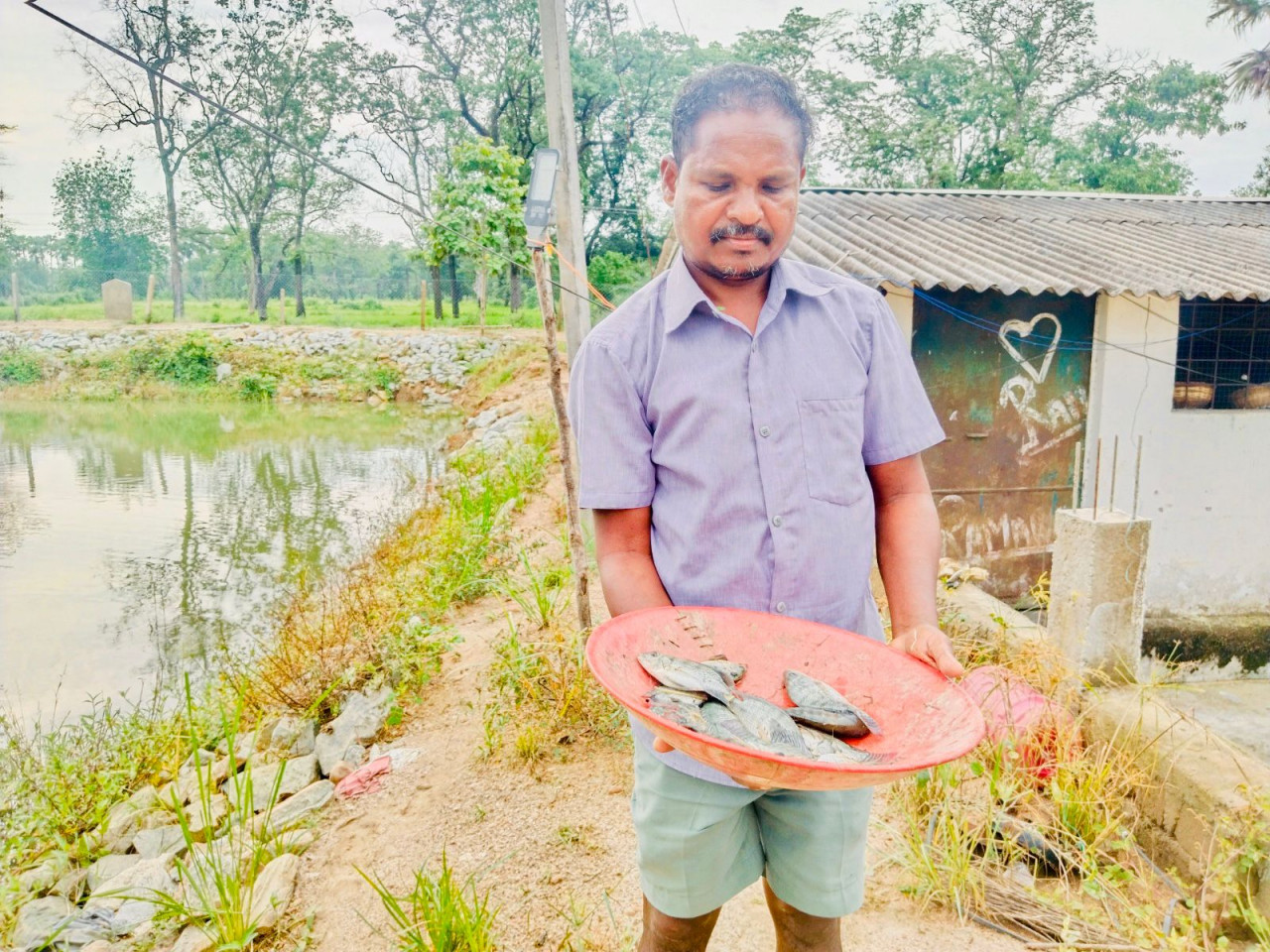 डबरी बनी खुशहाली की राह : किसान हिरमाराम की आमदनी हुई दोगुनी, सालाना बढ़ी एक लाख रुपये तक