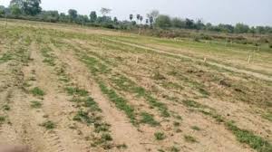 जांच प्रतिवेदन में सामने आया सच!18 लोगों को आवंटित हुई थी भूमि, बिना अनुमति बेची