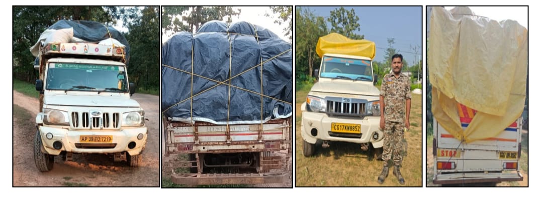  ओड़िशा से धान लाकर छत्तीसगढ़ में खपाने का मंसूबा नाकाम,पकड़े गए 02 पिकअप 