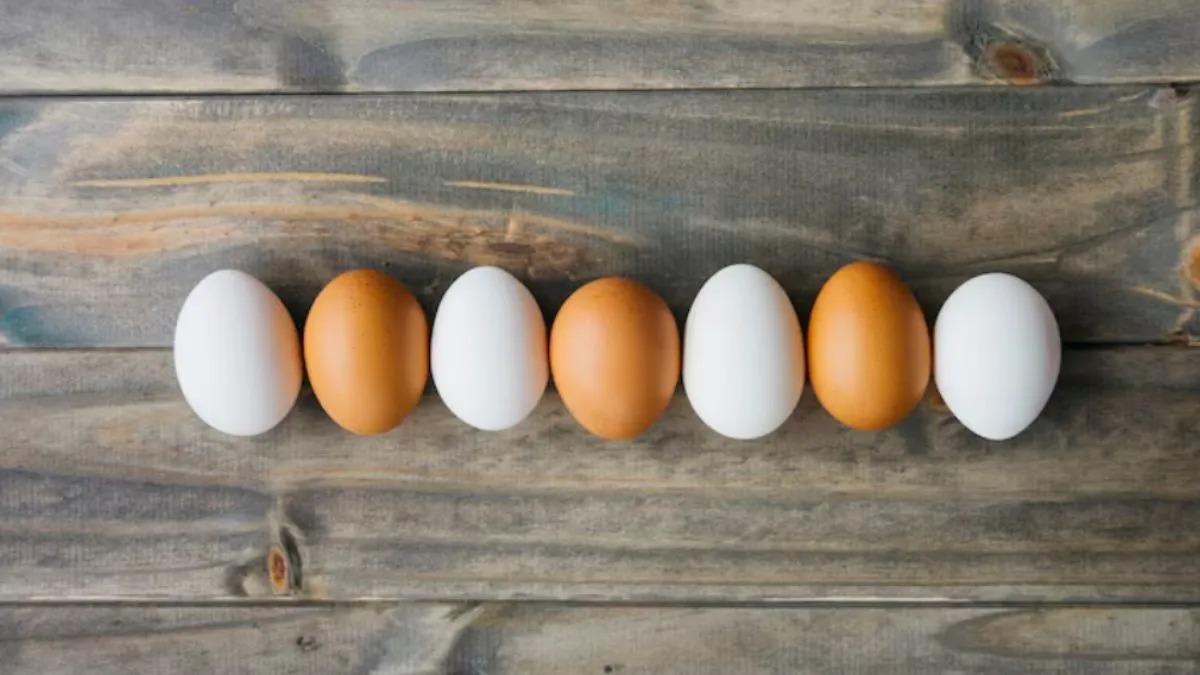  प्रोटीन का पावरहाउस कौन: सफेद अंडा या ब्राउन अंडा? जानें फर्क
