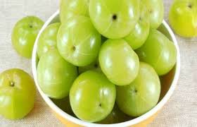 आंवलें में छुपा है सेहत का राज,कई समस्याओं से मिलेगा निजात 