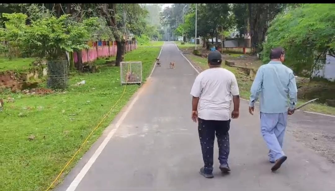 स्वास्थ्य मंत्री श्याम बिहारी जायसवाल के निर्देश पर चिरमिरी से उत्पाती बंदरों  को किया जा रहा शिफ्ट