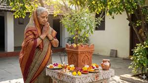  क्या आप जानते हैं कि आखिर कैसे हुई तुलसी की उत्पत्ति? पढ़े धार्मिक महत्व