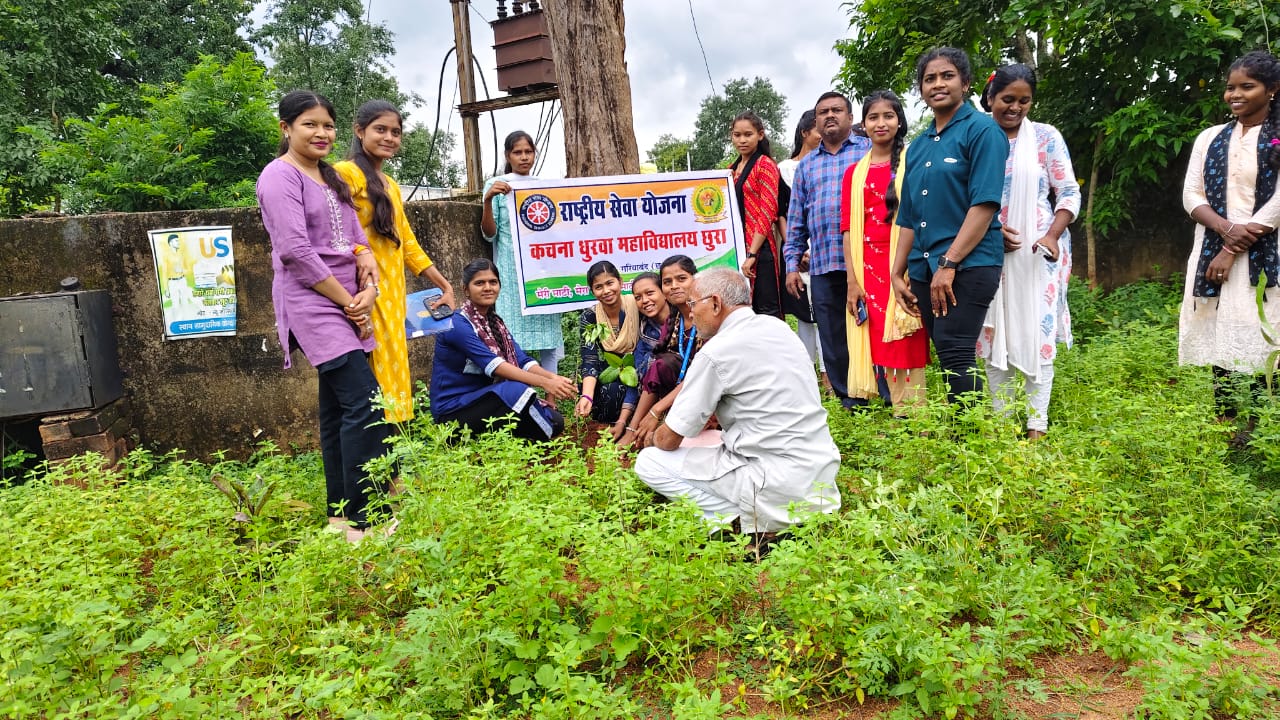 निजी कचना ध्रुवा महाविद्यालय में पौध रोपण कार्यक्रम संपन्न