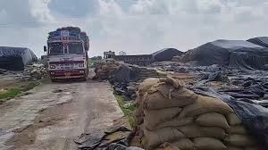 छत्तीसगढ़: 7 करोड़ का धान गायब, अधिकारी बोले- चूहे और दीमक खा गए