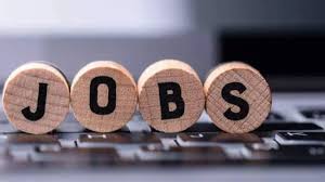 युवाओं के लिए रोजगार का सुनहरा अवसर, 11 एवं 12 फरवरी को प्लेसमेंट कैम्प आयोजित