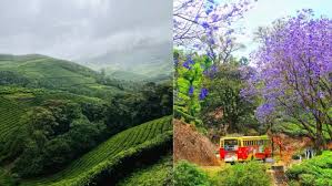 सितंबर में इन जगहों पर घूमने का बनाएं प्लान,इनकी खूबसूरती का नहीं है कोई मुकाबला 