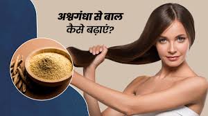 बालों की सेहत के लिए वरदान है अश्वगंधा,इस तरह करें उपयोग