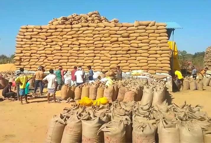 जिले में धान खरीदी ने पकड़ी रफ्तार, 3.74 लाख मीट्रिक टन से अधिक धान की खरीदी पूर्ण