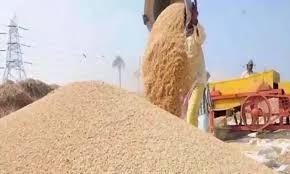 छत्तीसगढ़ में अब तक 26.04 लाख मीट्रिक टन धान की हुई खरीदी