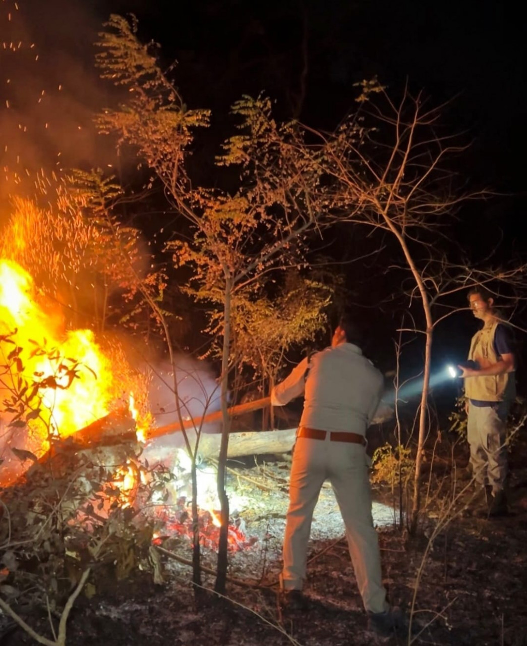 होली के दिन भी वनों की सुरक्षा में जुटे रहे वनकर्मी,सोनाखान के जंगलों में लगी आग पर पाया काबू