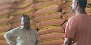 खरीफ वर्ष 2026 : जिले में 31,981 टन उर्वरक उपलब्ध, किसानों से समय पर उठाव की अपील