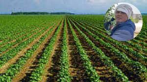 ऑर्गेनिक खेती कर बने प्रेरणा स्रोत: एक सीजन में 3 फसलों की खेती से 7 लाख की इनकम,जानें कैसे होती है जैविक खेती