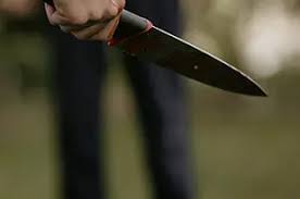 राजधानी रायपुर में बदमाशों के हौंसले बुलंद, लेडी डॉन के भाई ने मारा चाकू