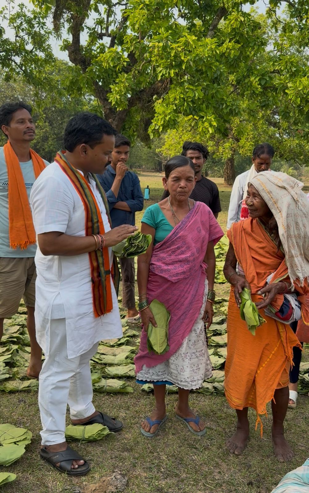 दंतेवाड़ा में तेंदूपत्ता सीजन: जिला पंचायत अध्यक्ष का फड़ों का निरीक्षण, संग्राहकों से सीधा संवाद